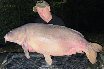 Another September Review - 3