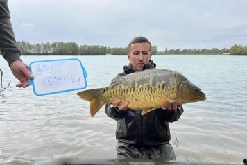 Additional Stocking - 3