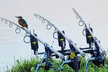 Video Diaries From Ragon This September - 3