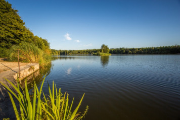 Aerial Views of Brocard Large  - 3