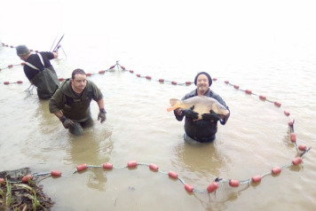 Netting and Additional Stocking 2017 - 5