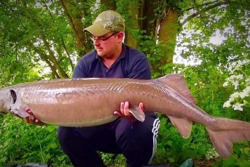 A Great Week for Swim 11 - 6