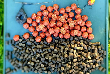 A June Session For Bailiff Mark - 3