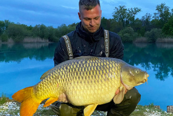 The Return Of The Commons! - 7