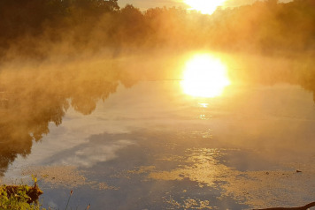 A June Session For Bailiff Mark - 5