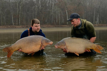 Fish safely returned to Boux! - 2