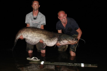  Monsters catfish ! - 1