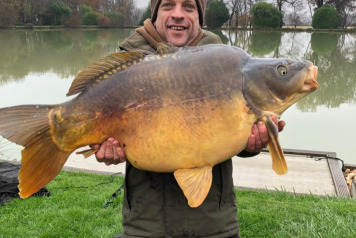 New stock for 2022 - 2