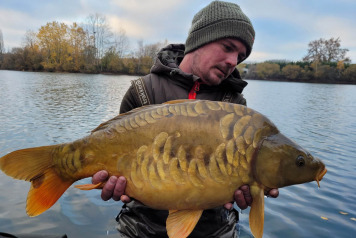 NEW ADDITIONAL STOCKING - 8