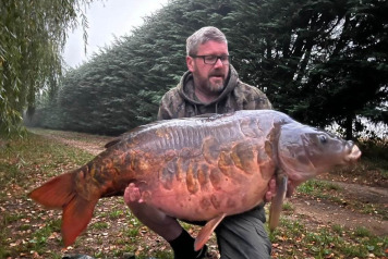 NEW ADDITIONAL STOCKING - 20