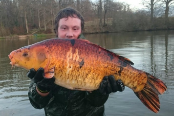 A Few Additional Carp Stocked This Winter - 2