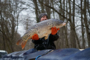 Returning Carp To The Lake - 2