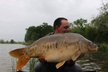 Catch Round-ups May - 4