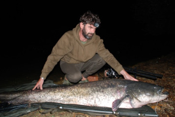  Monsters catfish ! - 3