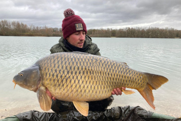 Additional commons - 4