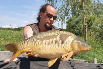 "Pretty fish festival" - 1