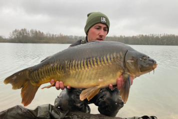 More Carp Stocked this November - 6