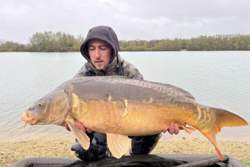 An Additional 7 Carp - 7