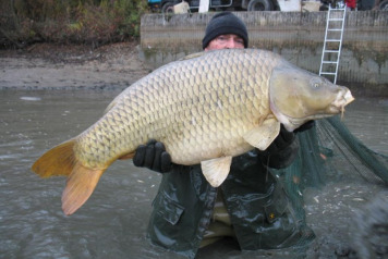 Netting Brocard Small - 3