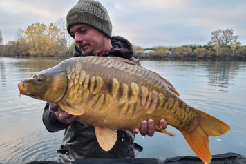 NEW ADDITIONAL STOCKING - 15