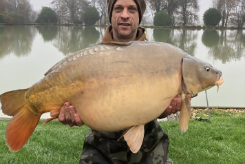 New stock for 2022 - 3