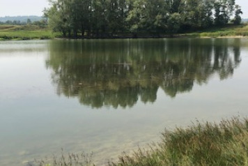 Water level update - 5