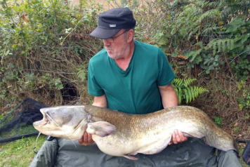 A Summary of the 2015 Season - 4