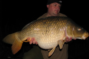 A 2010 Forum Post - 1