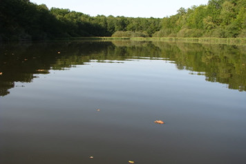 A 2010 Forum Post - 6