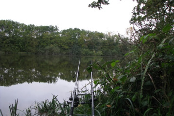 A 2010 Forum Post - 4