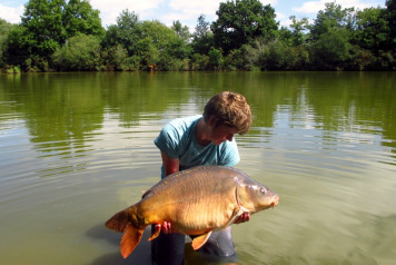 A Summary of the 2015 Season - 5