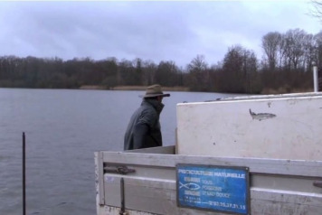 Additional Stocking of Carp - 2