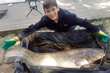 Smiling Moggy Makes Charlies Day! - 2