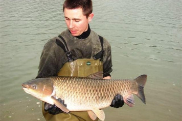 2nd major stocking takes place - 5