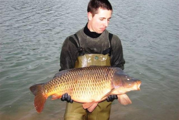 2nd major stocking takes place - 6