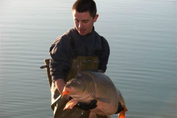 49lb mirror carp stocked - 2