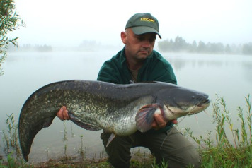 Catfish stocked! - 2