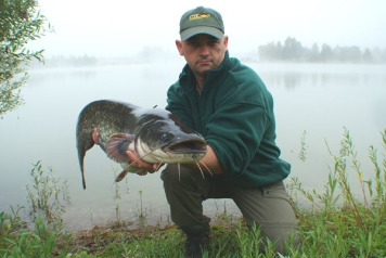 Catfish stocked! - 3