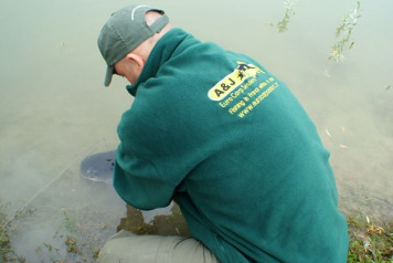 Catfish stocked! - 4