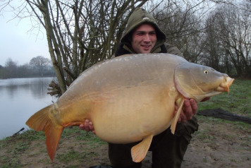 A look back at January 2012 - 1