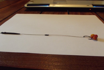 Rigs to Catch a Villefond Monster - 5