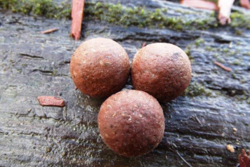 Video of Arthur at 55lb - 4