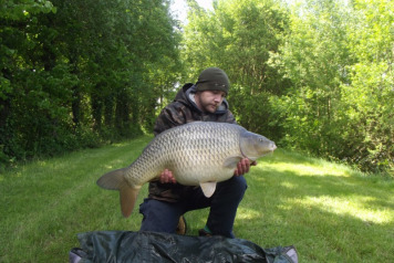 Shallow Bay Monsters - 3