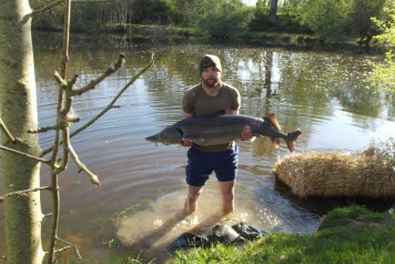 Stocking A New Species - 1