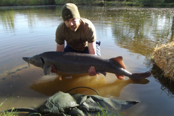 Stocking A New Species - 3