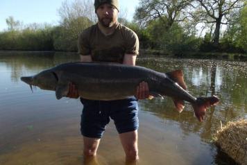 Stocking A New Species - 2