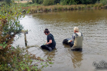 Winter Season Chores Begin - 3