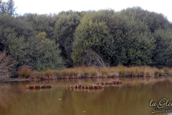 Winter Season Chores Begin - 5