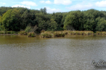 Winter Season Chores Begin - 6