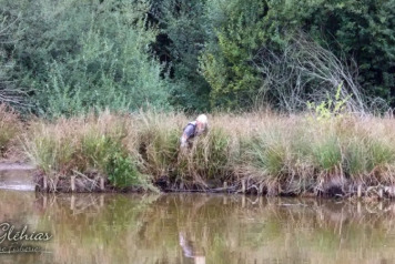 Lake William Island is Completed! - 2